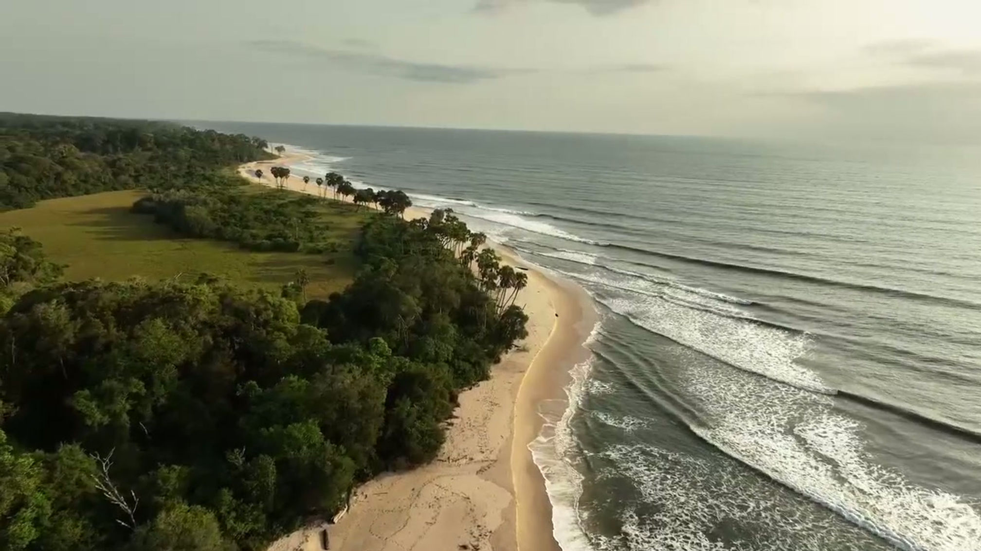 SURFING HIPPO'S - Gabon's Jungle Beach